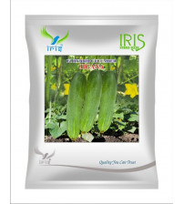 Cucumber / Kakri F1 Iris Jigana - 20 grams